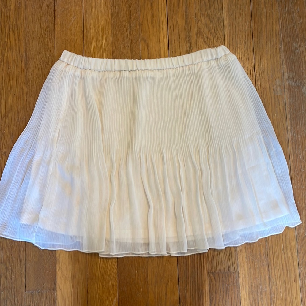 Zara TRF chiffon skirt